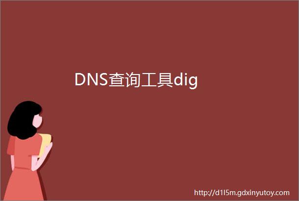 DNS查询工具dig